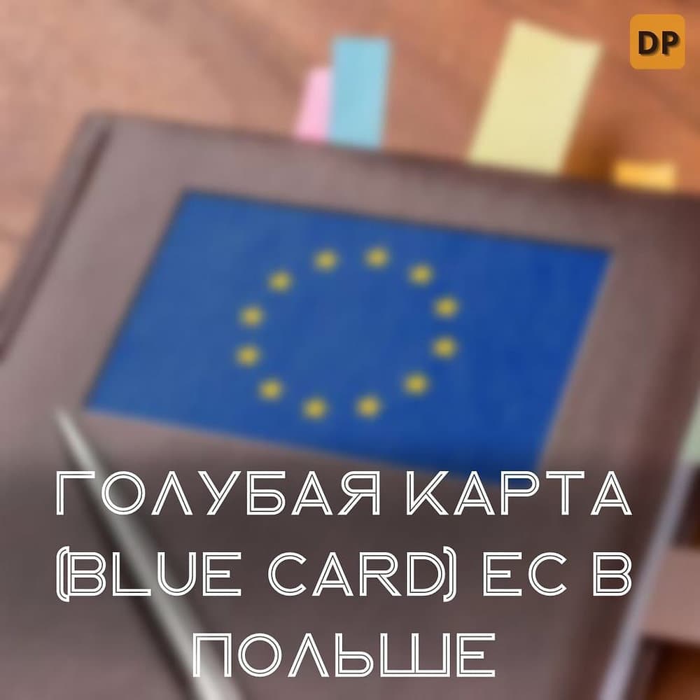 Blue Card в Польше: преимущества и процесс